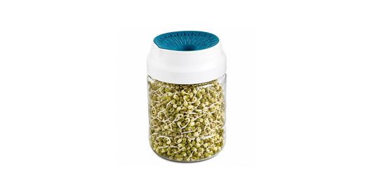 Sprouts maker jar