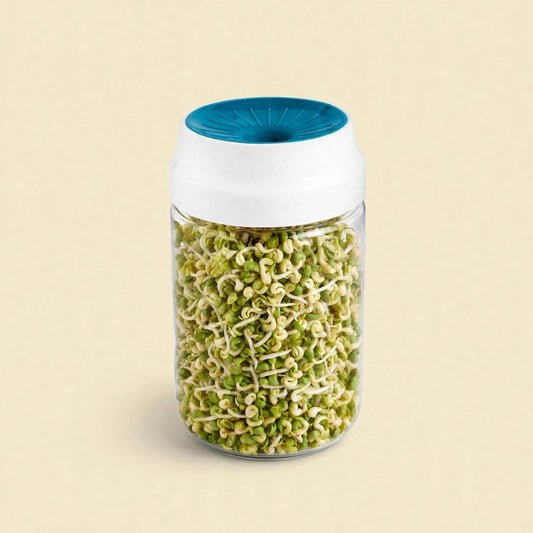 Sprouts maker jar